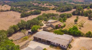 Chalet en venta en Felanitx, Afueras photo 0