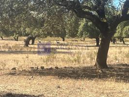 Chalet en venta en Cáceres photo 0