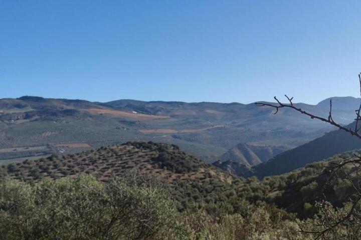 Terreno en venta en Loja, Área de Loja photo 0