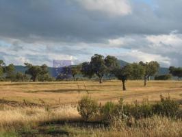 Chalet en venta en Monroy photo 0