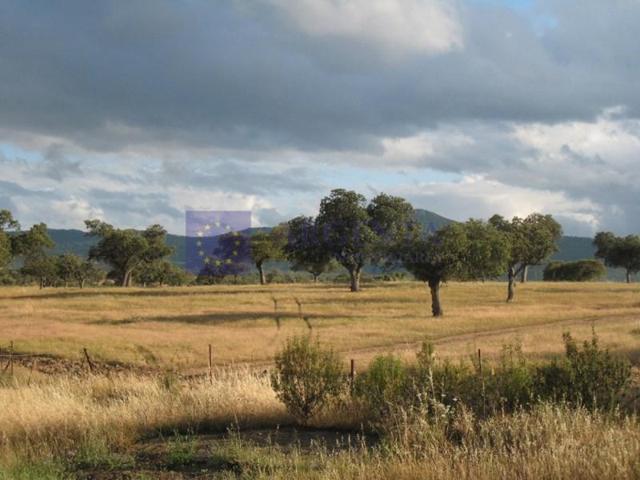 Chalet en venta en Monroy photo 0