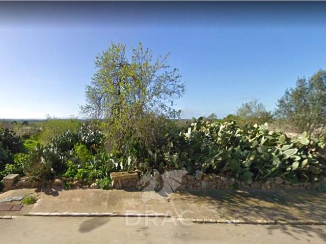 Terreno en venta en Ses Salines photo 0