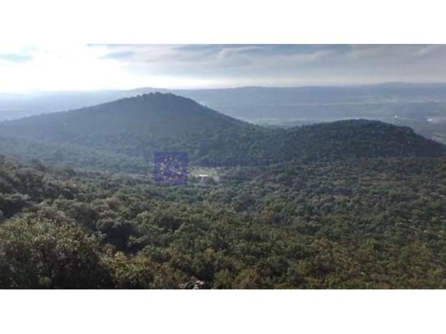 Chalet en venta en Valencia de Alcántara photo 0