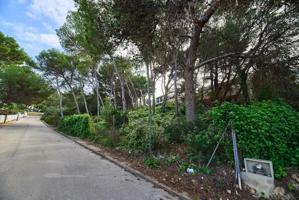 Terreno en venta en Denia, Les Rotes-Las Rotas photo 0