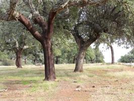 Chalet en venta en Badajoz, Villafranco photo 0