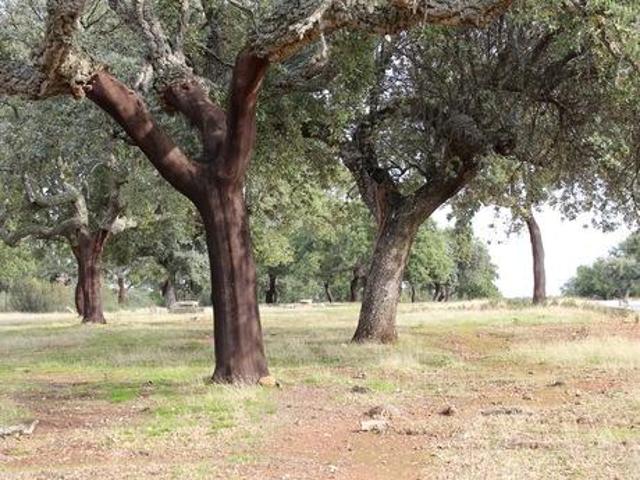 Chalet en venta en Badajoz, Villafranco photo 0