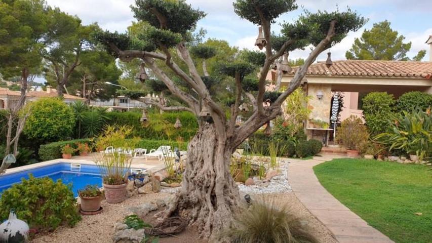 Chalet en venta en Calvia, Santa Ponsa photo 0