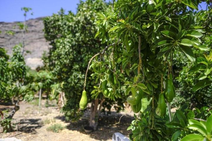 Chalet en venta en Guadiaro, Guadiaro photo 0