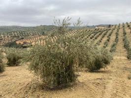 Chalet en venta en Loja, Área de Loja photo 0