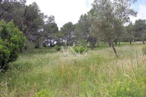 Terreno en venta en Begur photo 0