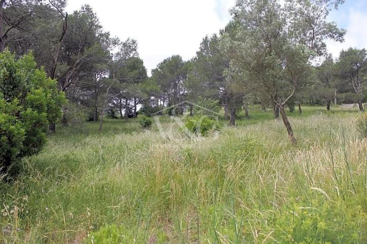 Terreno en venta en Begur photo 0