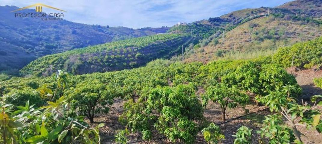 Terreno en venta en Vélez-Málaga, Vélez-Málaga photo 0