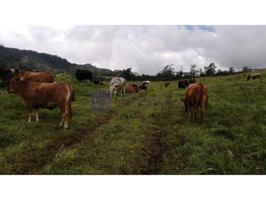 Chalet en venta en Coria photo 0