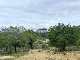 Terreno en venta en Alaró, Alaró photo 0