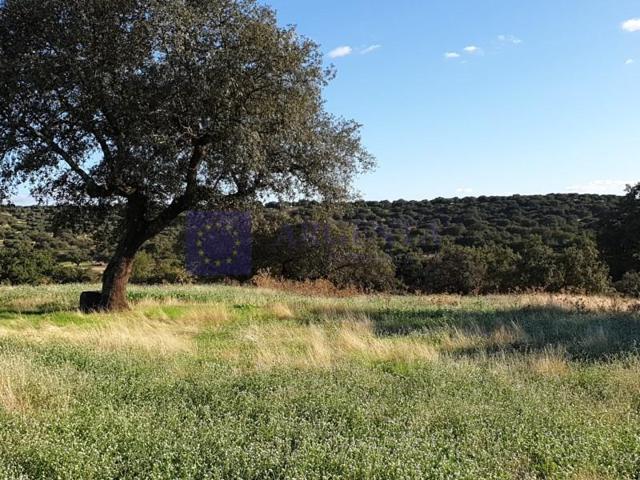 Chalet en venta en Don Benito photo 0