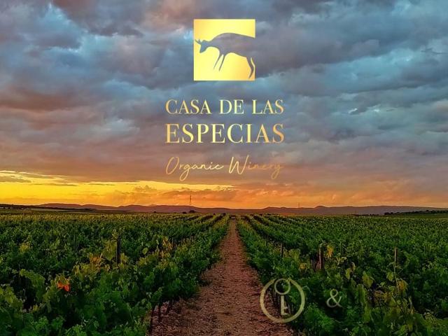 Chalet en venta en Yecla photo 0