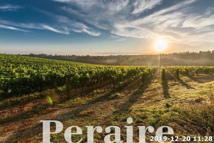 Casa en venta en Falset, Zona montsant photo 0