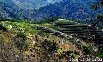 Terreno en venta en Falset, Zona montsant photo 0