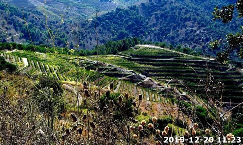 Terreno en venta en Falset, Zona montsant photo 0