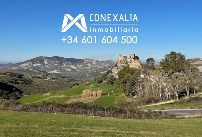 Chalet en venta en Olvera, Olvera photo 0