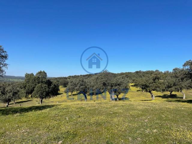 Terreno en venta en Espiel, Espiel, Espiel photo 0