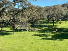 Chalet en venta en Aliseda photo 0