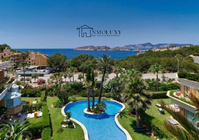 Aticos en venta en Calvia, Santa Ponça photo 0