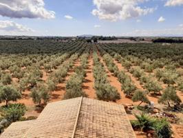 Local comercial en venta en Costitx, Sencelles photo 0