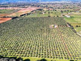 Chalet en venta en Sencelles, Sencelles photo 0