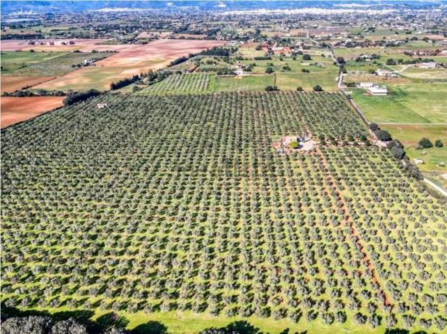 Chalet en venta en Sencelles, Sencelles photo 0