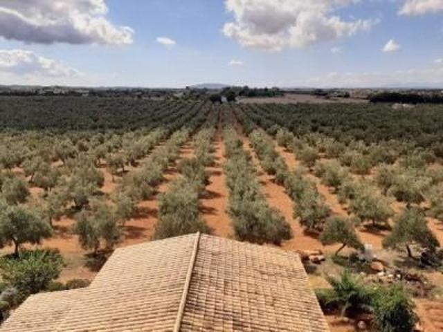 Chalet en venta en Sencelles, Sencelles photo 0