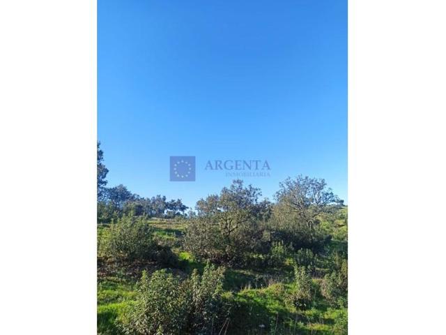 Chalet en venta en Don Benito photo 0