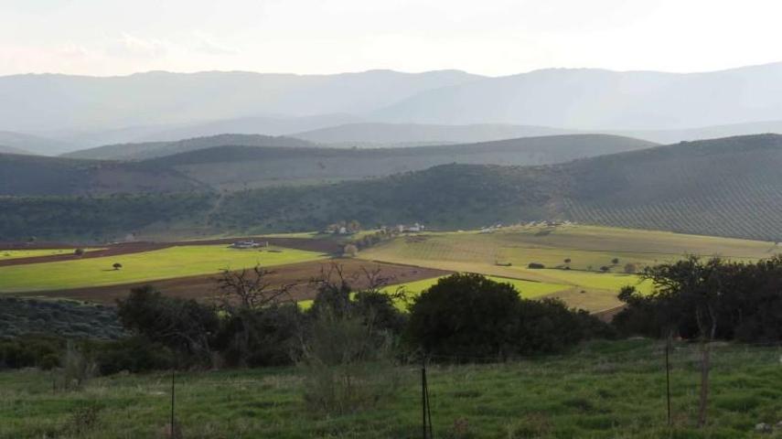 Terreno en venta en Calzada de Calatrava, Calzada de Calatrava photo 0