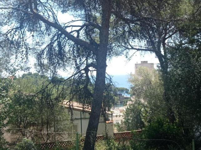 Terreno en venta en Calvia, Portals Nous photo 0