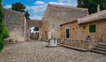 Casa con terreno en venta en Binissalem, Área de Binissalem photo 0