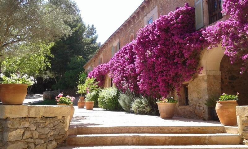 Chalet en venta en Artà, Artà photo 0