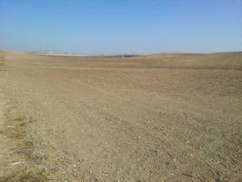 Chalet en venta en Sevilla, Alameda photo 0