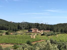 Casas de pueblo en venta en Sant Pere de Ribes, Can Lloses - Valles Altos photo 0