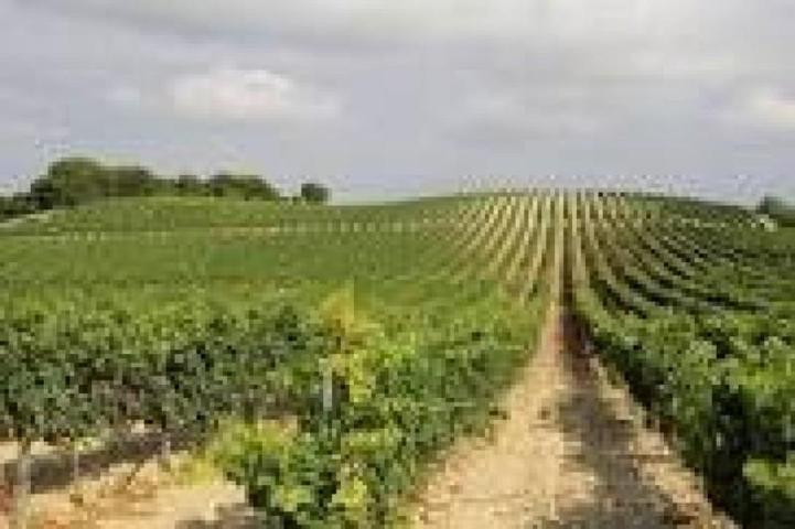 Casa en venta en Yecla, OTRAS photo 0