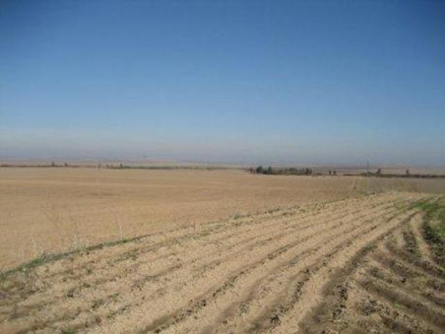 Chalet en venta en Marchena, photo 0