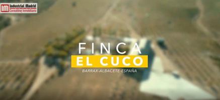 Chalet en venta en Barrax, BARRAX photo 0