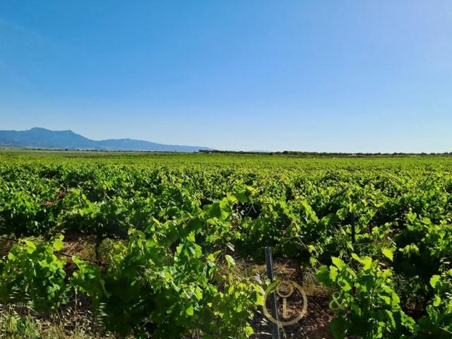 Chalet en venta en Jumilla photo 0