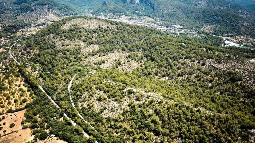 Casa con terreno en venta en Bunyola, Bunyola photo 0