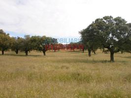 Chalet en venta en Malpartida de Plasencia photo 0