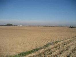 Chalet en venta en Marchena, photo 0