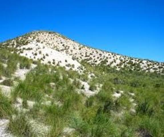 Terreno en venta en Hellín, Campo de Hellín photo 0