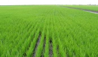 Chalet en venta en Isla Mayor, Sin Zona photo 0