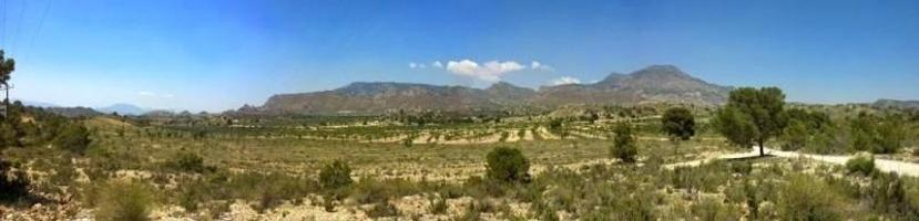 Terreno en venta en Fortuna, Alrededores photo 0