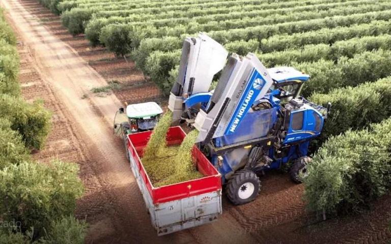 Terreno en venta en Badajoz, Badajoz photo 0