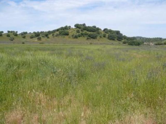 Chalet en venta en Sevilla, photo 0